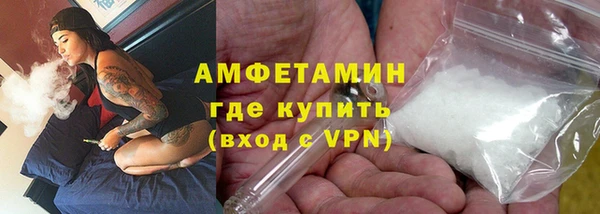 индика Дмитриев