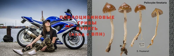 первитин Дмитров
