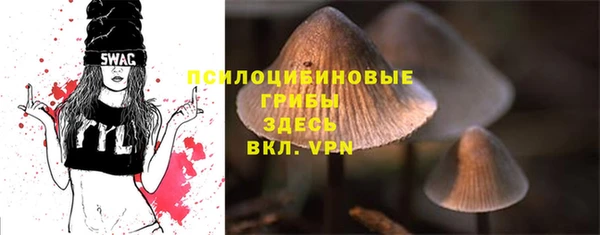 MDMA Ельня