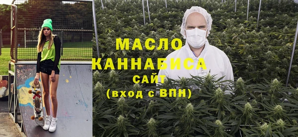 индика Дмитриев