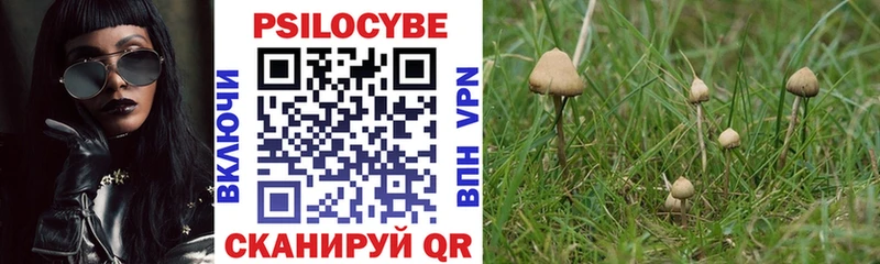 Псилоцибиновые грибы Cubensis  Купить закладки  Таштагол 